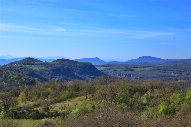 Panorama depuis la randonnée de la Pierre Grise - E.BEBI Office de tourisme Bugey Sud Grand Colombie