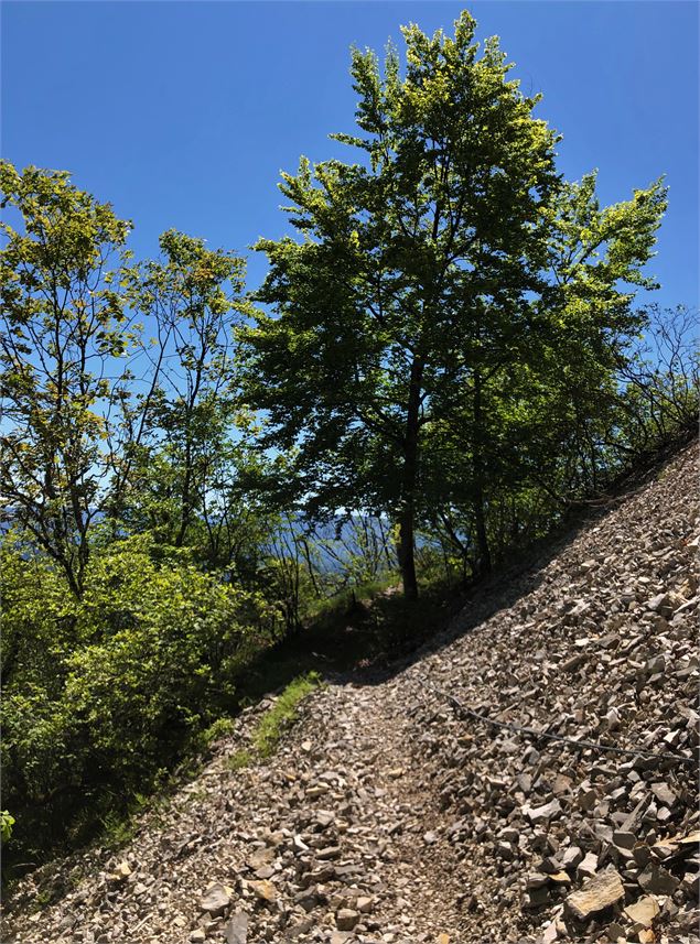 Sentier traversant la gravière sous la Croix de la Roche - Maxime Ballet