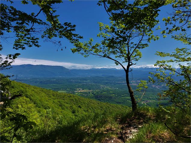 Vue sur le sentier menant à la Croix d'Innimond - Maxime Ballet