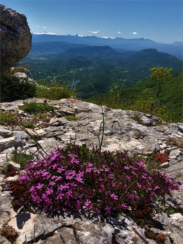 Vue depuis la Croix d'Innimond sur le lac d'Arboreaz, le sud du Bugey, le massif de la Chartreuse et