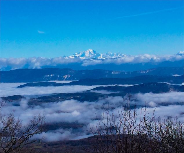 Vue sur le Mont Blanc depuis la croix d'Innimond - Maxime Ballet