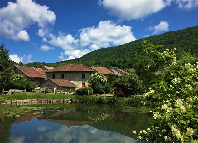 Randonnée du Chévrier - BugeySud - Office de tourisme Bugey Sud Grand Colombier