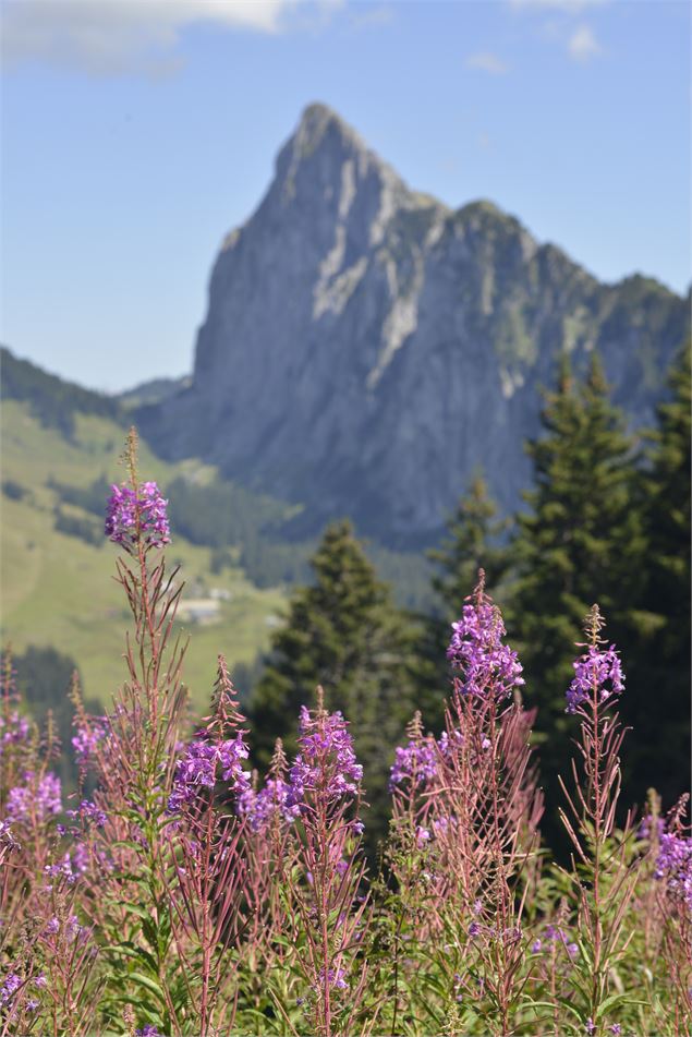 Arête du Mont Chauffé côté Nord - 2CVA