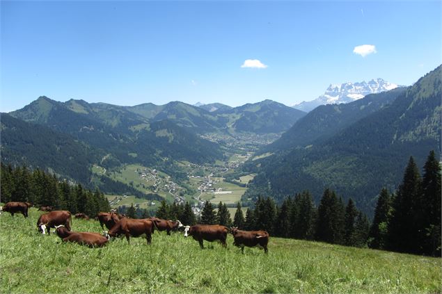 Vue depuis le Sauvage - 2CVA