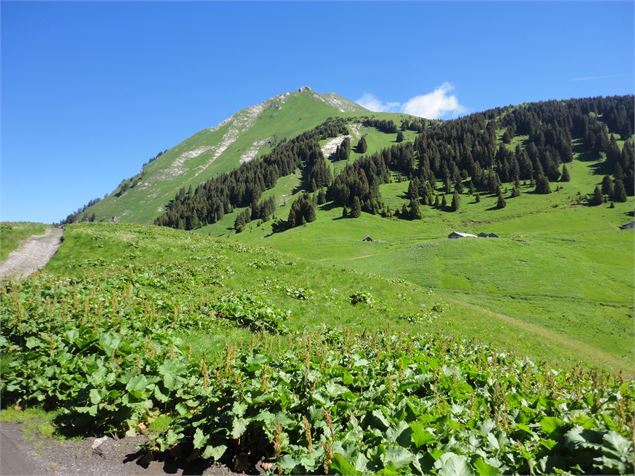 Vue sur Lenlevay et le Mont de Grange - 2CVA