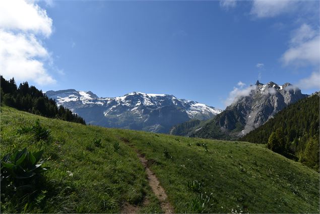 Vue sur les glaciers de la Vanoise - Bernard VION