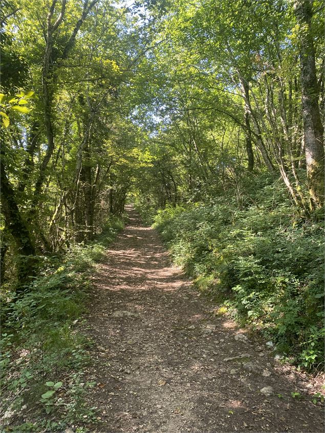 Chemin à proximité de la Croix Saint Clair à Izieu - M.Ballet