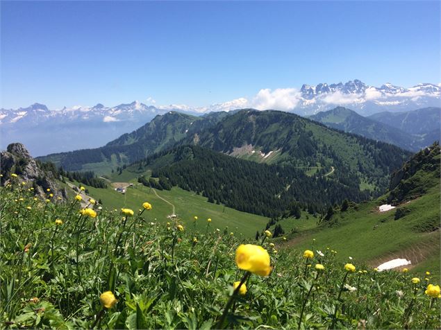 Vue sur les Dents du Midi - OTI PEVA