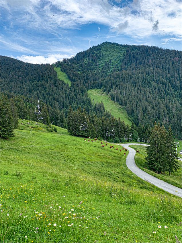 Vue sur les pistes de Braitaz - La Chapelle d'Abondance - OTI PEVA