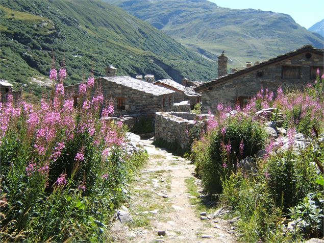 Le hameau de l'Ecot à Bonneval-sur-Arc en été - OT HMV