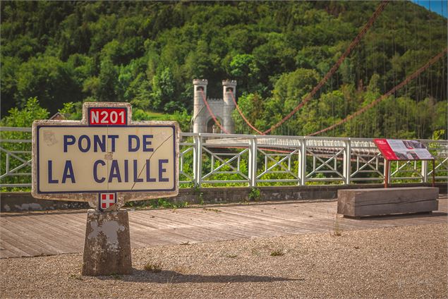 Pont Charles Albert - Yan-Gaëtan OLIVO