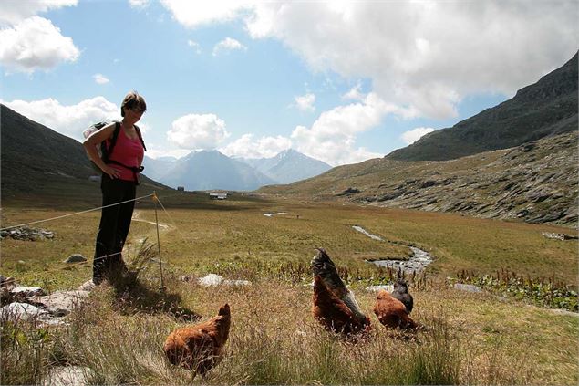 Vallon du Fond d'Aussois - MO. OT AUSSOIS