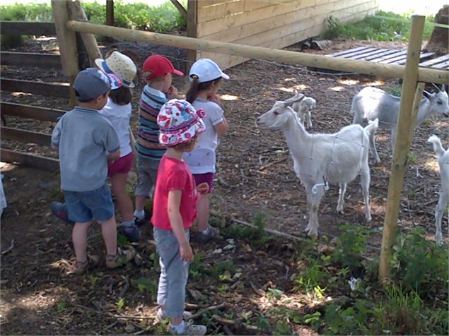 Ferme aux enfants - Dombes Tourisme