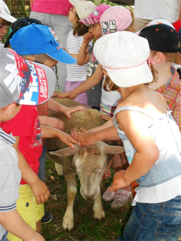 Ferme aux enfants - Dombes Tourisme