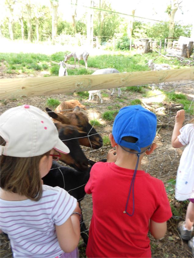 Ferme aux enfants - Dombes Tourisme