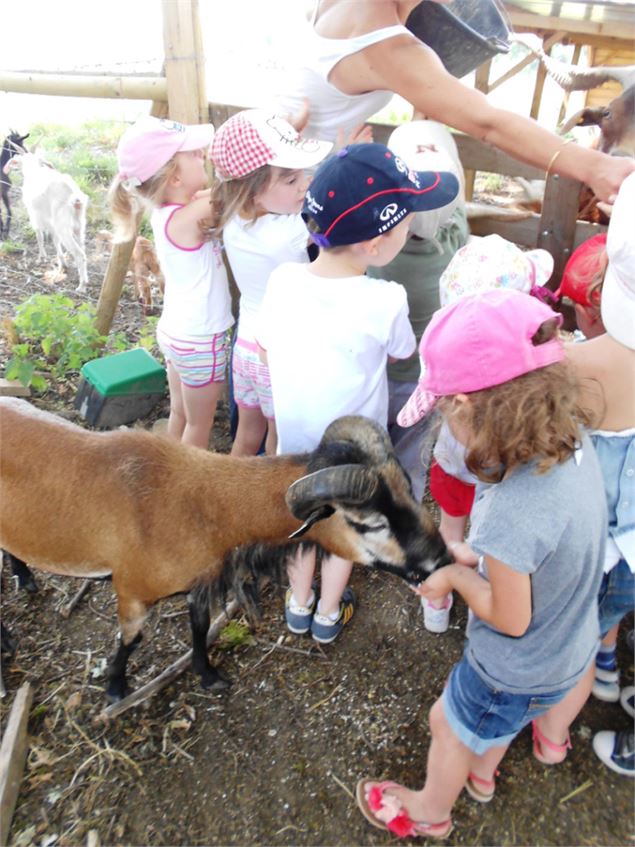 Ferme aux enfants - Dombes Tourisme