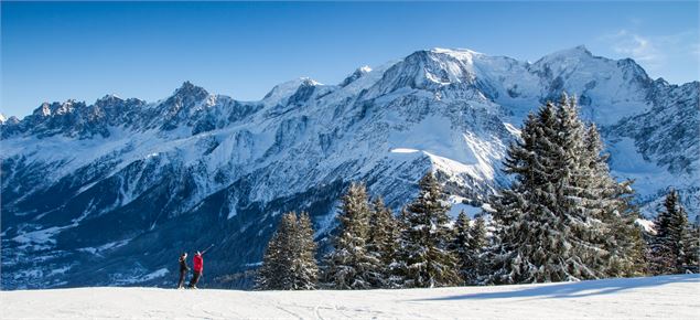 Panorama depuis le domaine des Houches - P. Raphoz