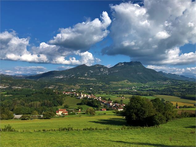 Vue sur Massignieu-de-Rives etla Charvaz - M.Ballet