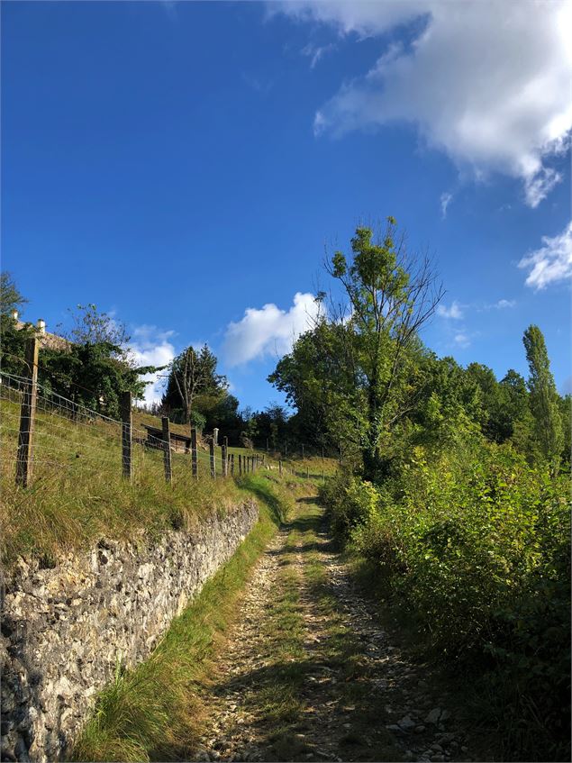 Chemin en direction de Parves - M.Ballet