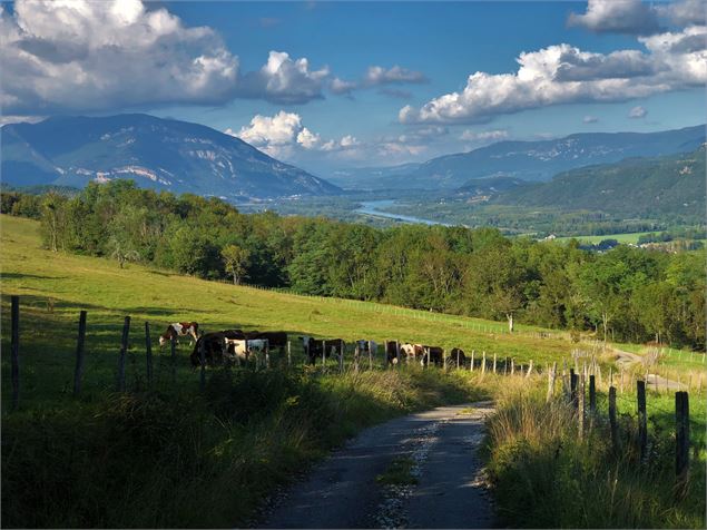 Vue sur le Grand Colombier, la Chautagne et le Rhône - M.Ballet