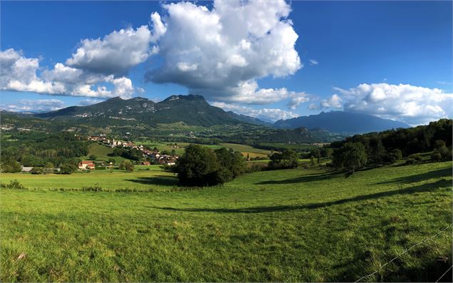 Vue sur Massignieu-de-Rives, la Charvaz et la Dent du Chat - M.Ballet