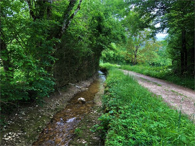 Rau de Marchand à Essieux - OTBBB