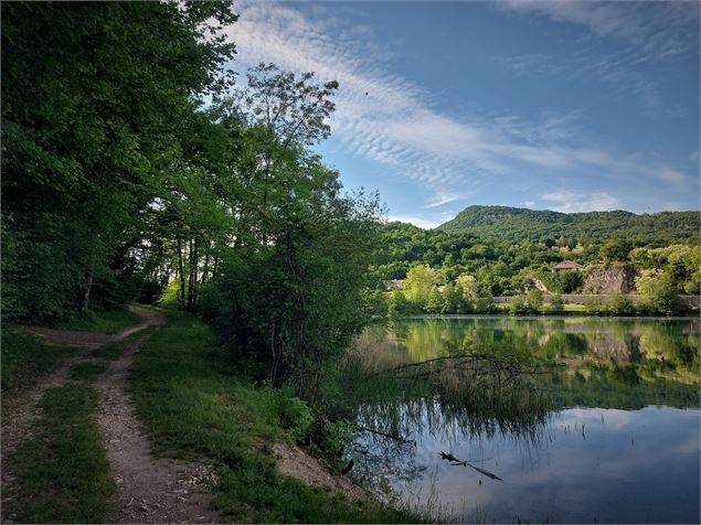 Chemin en bord de Rhône - CC BugeySud