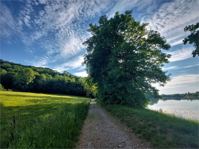 Chemin au bord du Rhône - CC BugeySud