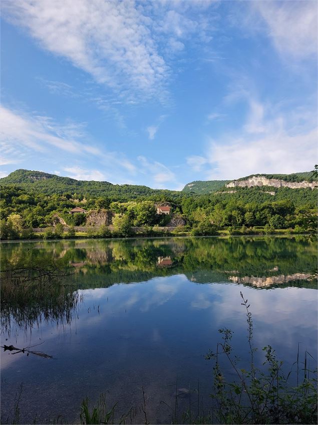 Vue sur le Rhône - CC BugeySud