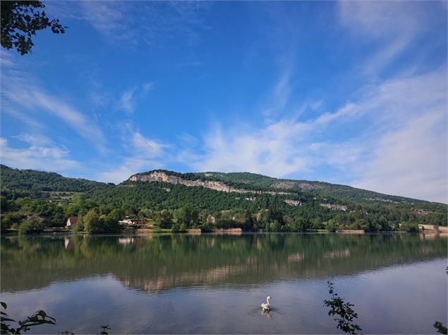 Vue sur le Rhône - CC BugeySud