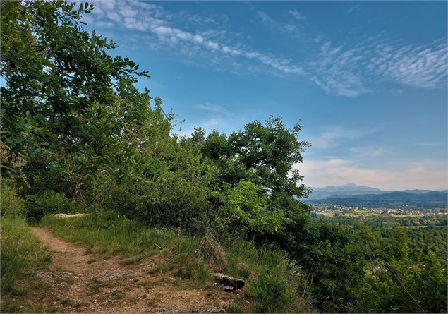 Vue sur l'Isère et la Chartreuse - CC BugeySud