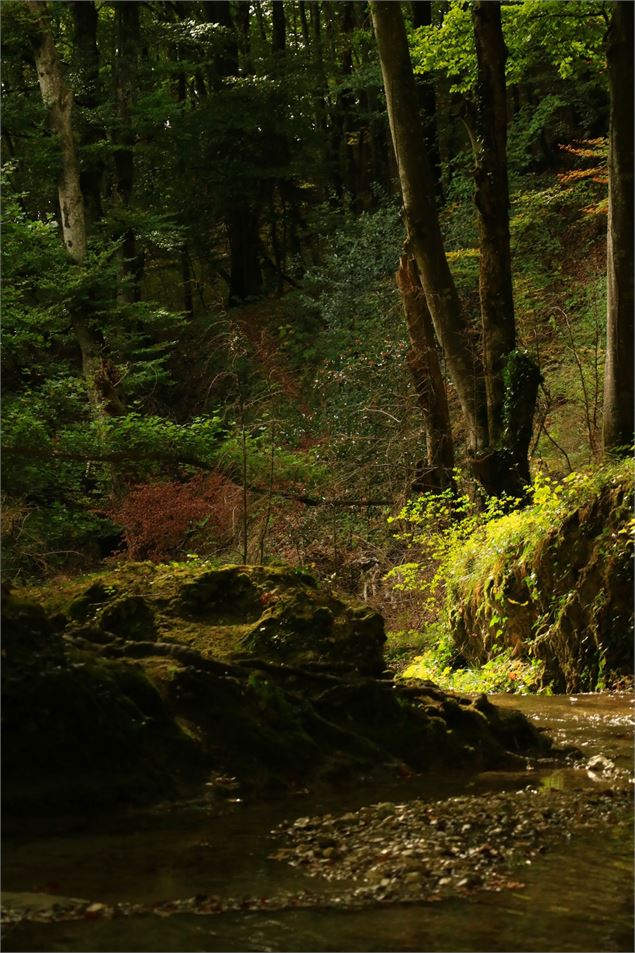 L'Arène sous la cascade de Clairefontaine - Maxime Ballet