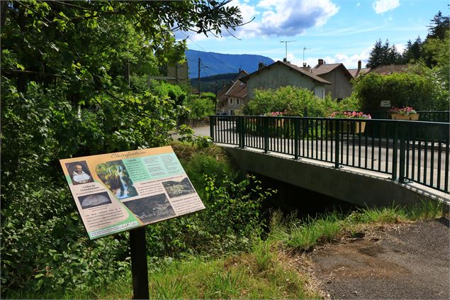 Parcours patrimoine de Virieu-le-Grand - Maxime Ballet