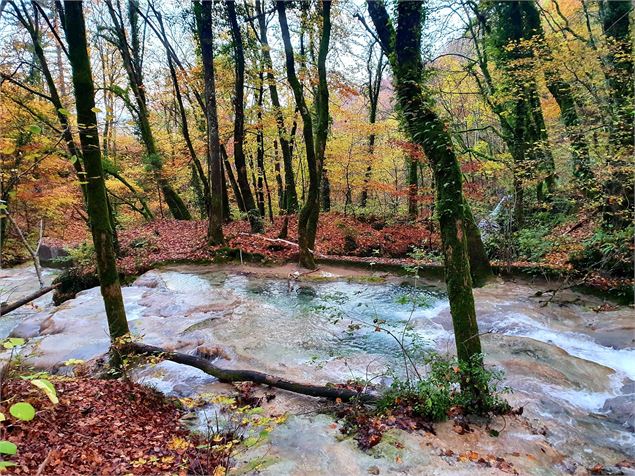 Cascade de Clairefontaine - Maxime Ballet