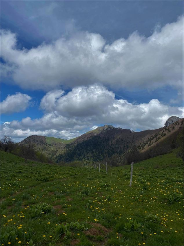 Crêtes du Grand Colombier - ©Diana Ballet