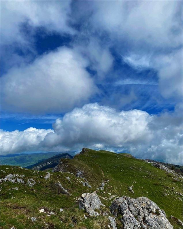 Crêtes du Grand Colombier - ©Diana Ballet