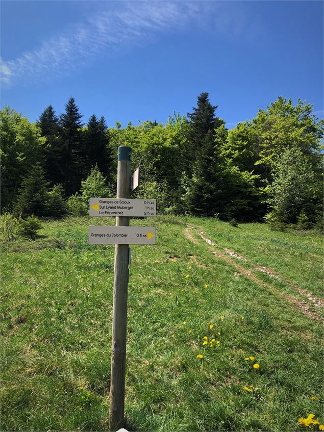 Col de Charbemènes - ©Diana Ballet