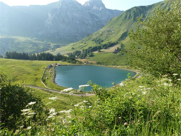 Lac de la cour - Aravis D.Machet