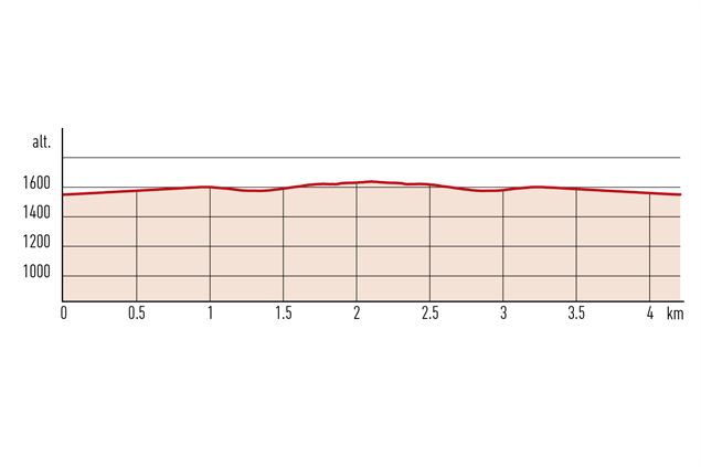 Charlotte la Marmotte