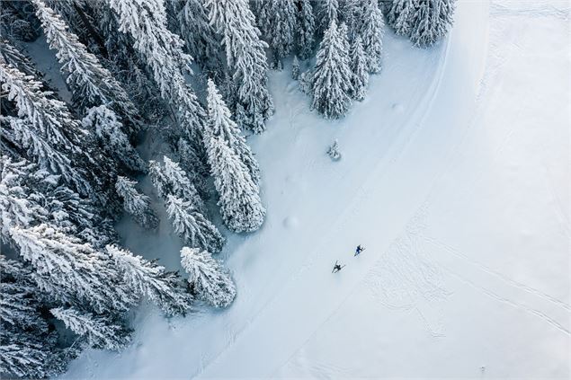 ski fond Drone - Peignée verticale GCAT