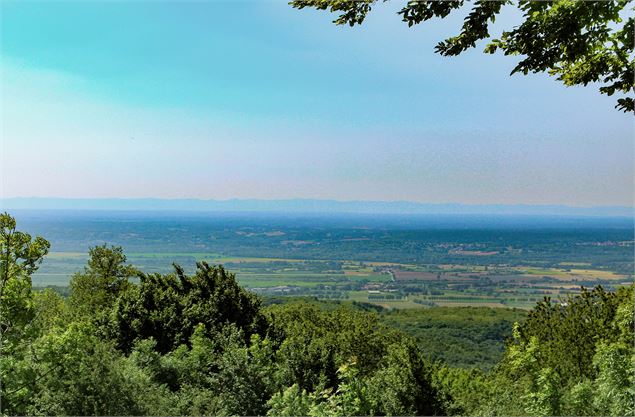 vue depuis le château des Allymes - M.Périno