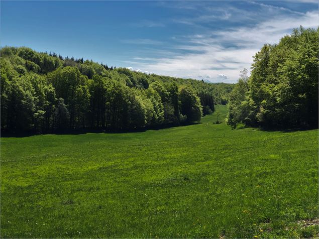 La Combe Danoi - © Maxime Ballet