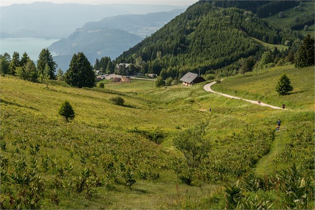 Randonnée à la Croix du Nivolet - Chambéry Métropole / BD