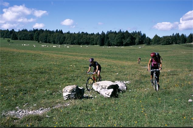 Parcours VTT 58 noir - L'intégrale du Poizat - Espace FFC Ain Forestière - V.Allard – Haut-Bugey Agg