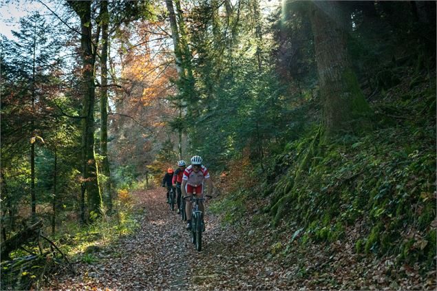 Parcours VTT 51 bleu - Marais de Vaux les Teillères - Espace FFC Ain Forestière - Benjamin DESSALES