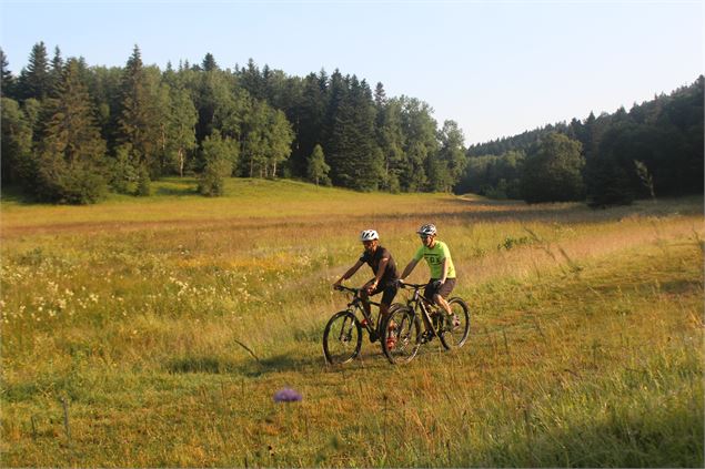 Parcours VTT 62 vert - Le Liaz d'Amont - Espace FFC Ain Forestière - C.Kaderabek-Haut Bugey Tourisme