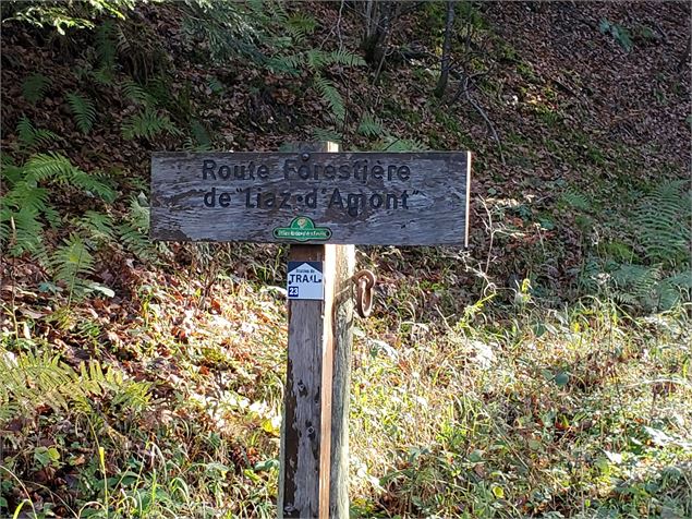 Parcours VTT 62 vert - Le Liaz d'Amont - Espace FFC Ain Forestière - C.Kaderabek-Haut Bugey Tourisme