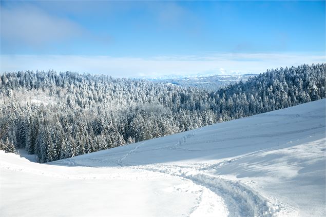 Circuit ski de fond le renon - Pascal Hanot