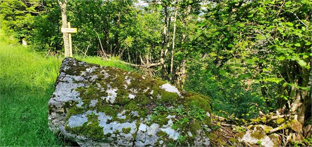 Chemin d'accès à la cascade - Vincent Allard