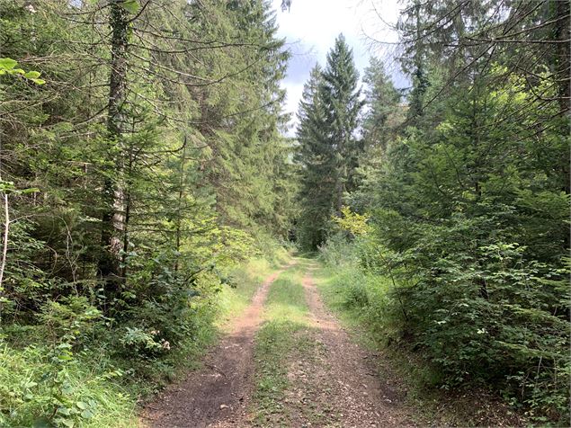 Sentier en direction des Monts d'Ain - Maxime Michel